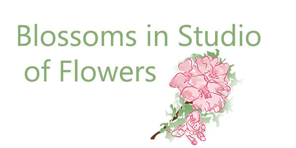 Blossoms in Studio of Flowers