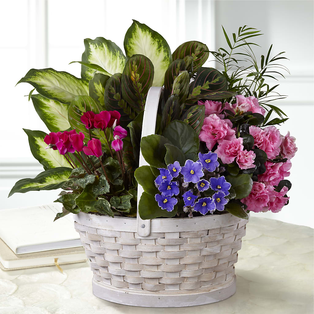 Peaceful Garden Planter – Blossoms In Studio Of Flowers, Forest MS