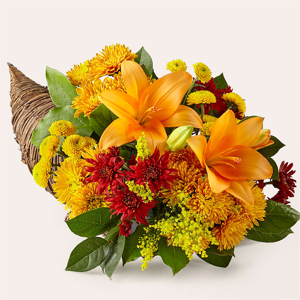 Feast of Color Cornucopia – Blossoms In Studio Of Flowers, Forest MS