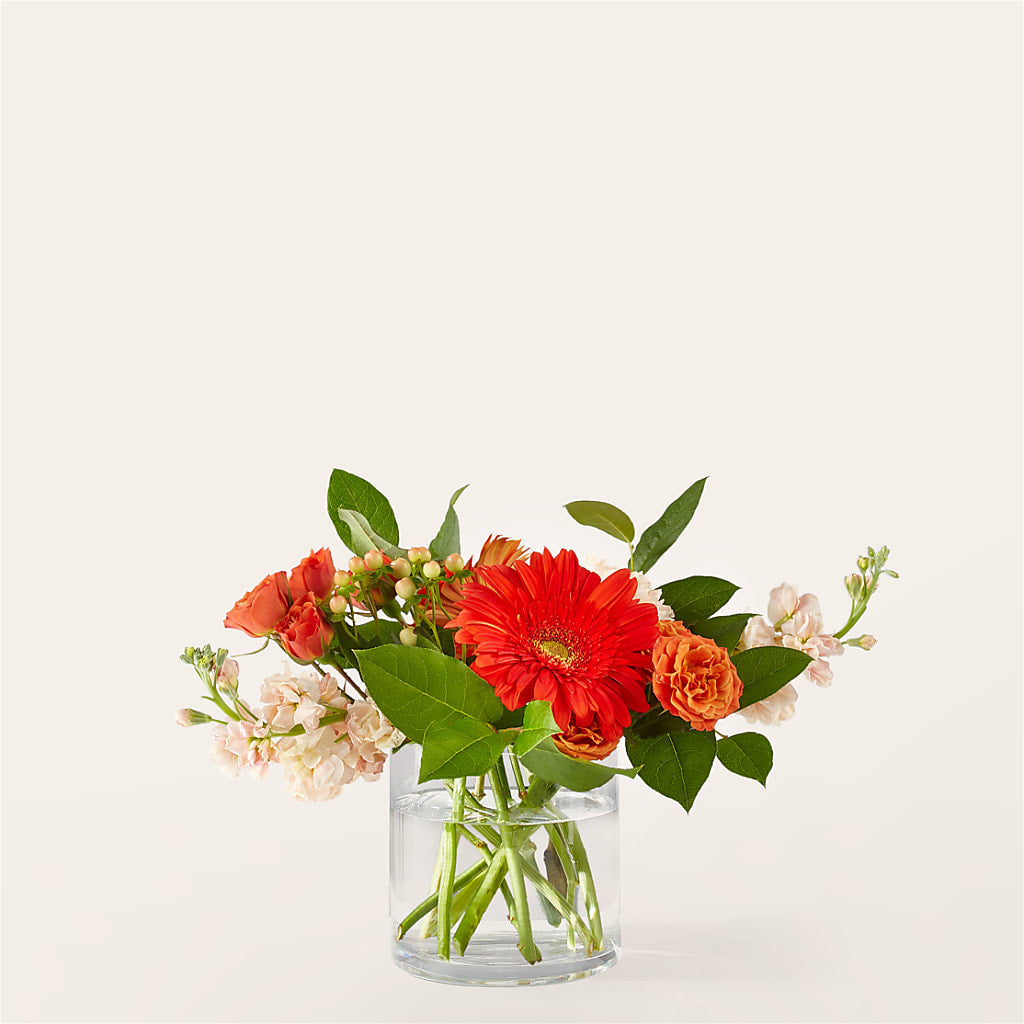 Paloma Please Bouquet – Blossoms In Studio Of Flowers, Forest MS