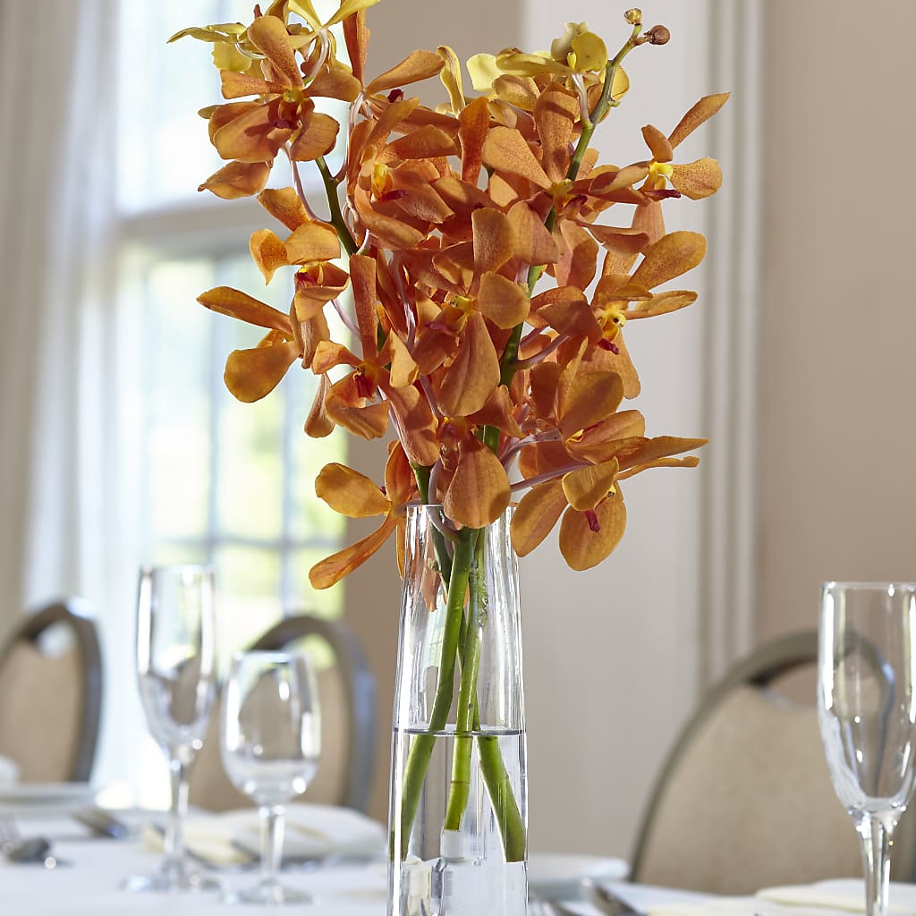 Orange Mokara Bud Vase – Blossoms In Studio Of Flowers, Forest MS