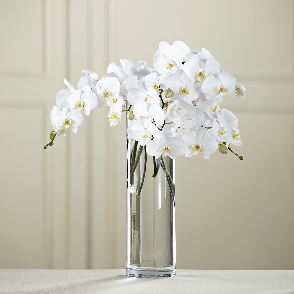 White Phalaenopsis Bouquet – Blossoms In Studio Of Flowers, Forest MS