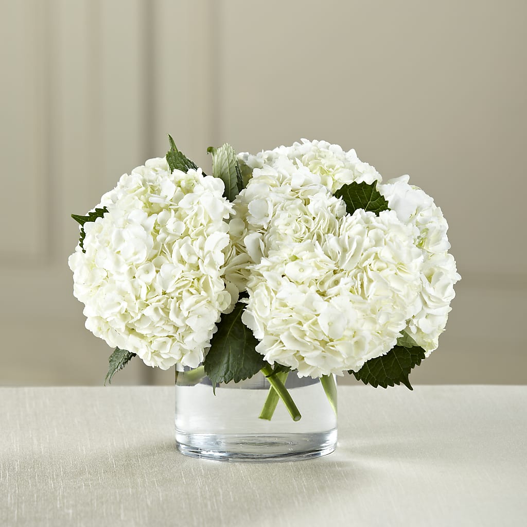 White Hydrangea Bouquet – Blossoms In Studio Of Flowers, Forest MS