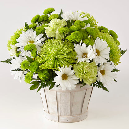 Lucky Charm Basket (Standard) –  Blossoms In Studio Of Flowers, Forest MS