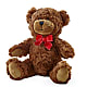 Adorable Plush Bear –  Blossoms In Studio Of Flowers, Forest MS