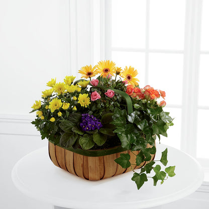 Gentle Blossoms Basket –  Blossoms In Studio Of Flowers, Forest MS