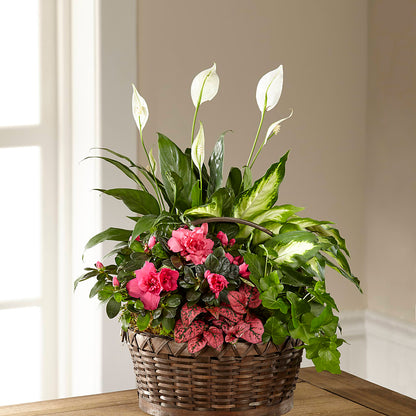 Dream in Pink Dishgarden –  Blossoms In Studio Of Flowers, Forest MS