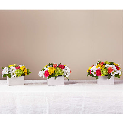 Sorbet Bouquet –  Blossoms In Studio Of Flowers, Forest MS