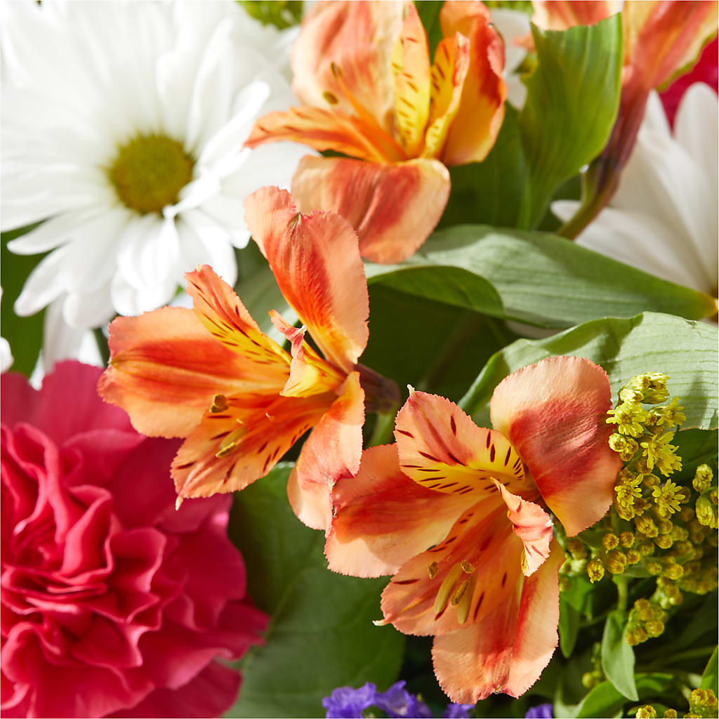 Oopsie Daisy Box Bouquet –  Blossoms In Studio Of Flowers, Forest MS