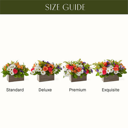 Oopsie Daisy Box Bouquet –  Blossoms In Studio Of Flowers, Forest MS