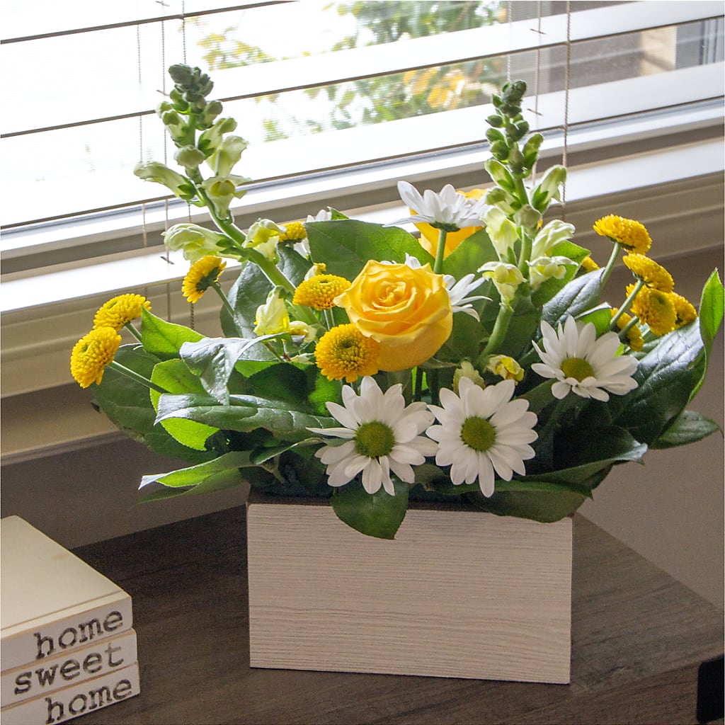 Sun Salutation Box Bouquet –  Blossoms In Studio Of Flowers, Forest MS