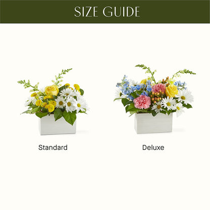Sun Salutation Box Bouquet –  Blossoms In Studio Of Flowers, Forest MS