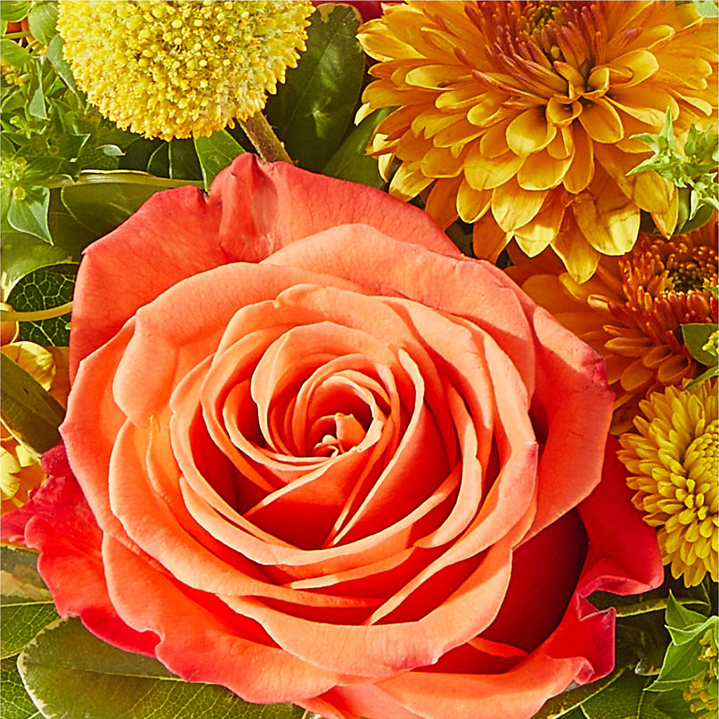 Gourdgeous Pumpkin –  Blossoms In Studio Of Flowers, Forest MS