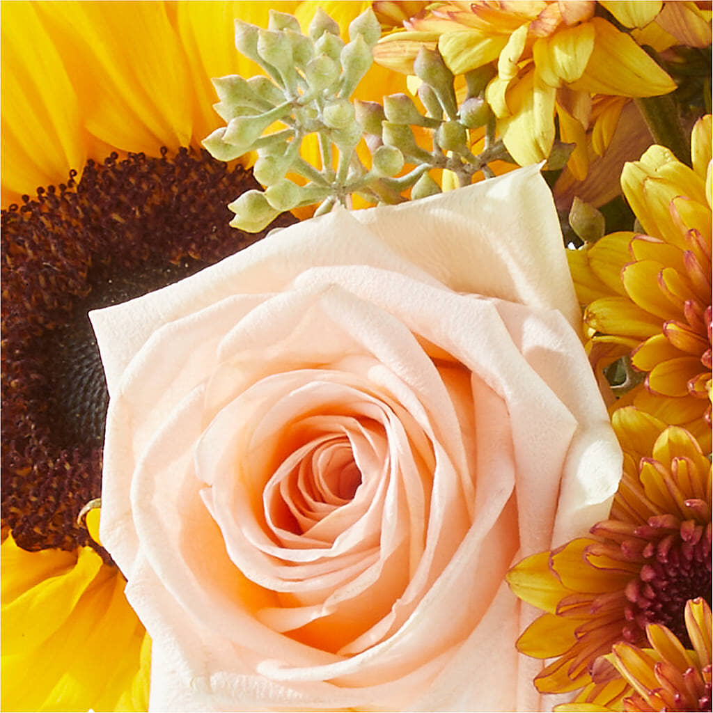 Pumpkin to Talk About Bouquet –  Blossoms In Studio Of Flowers, Forest MS