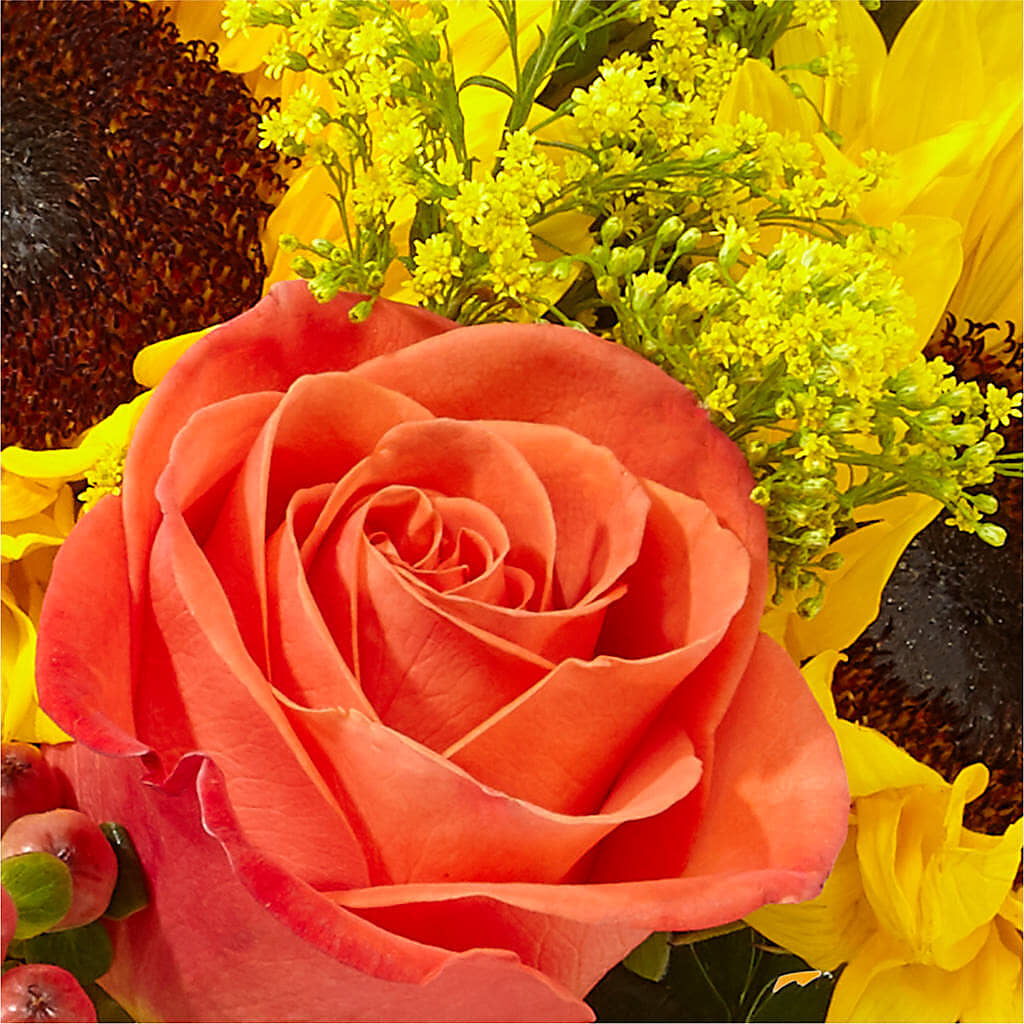 Pick of the Patch Pumpkin Bouquet –  Blossoms In Studio Of Flowers, Forest MS