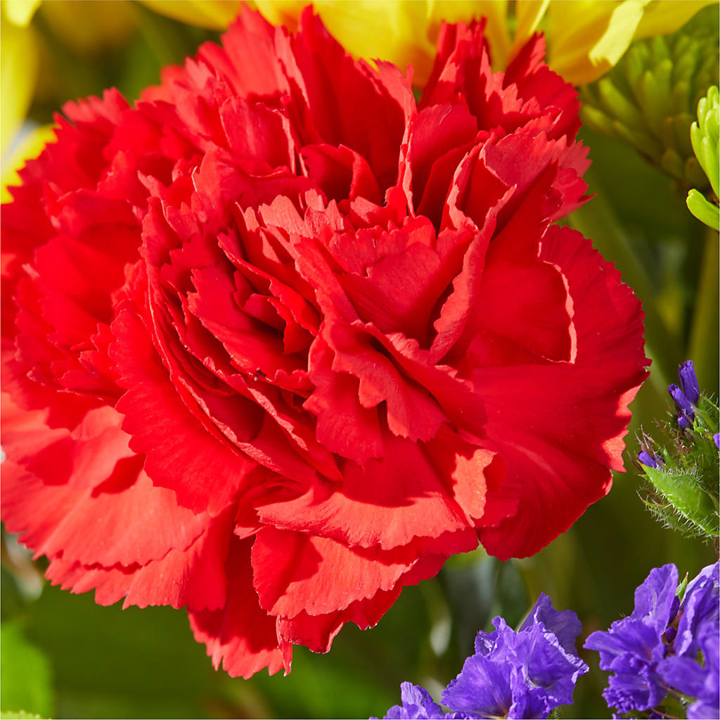 Brighter Days Bouquet –  Blossoms In Studio Of Flowers, Forest MS