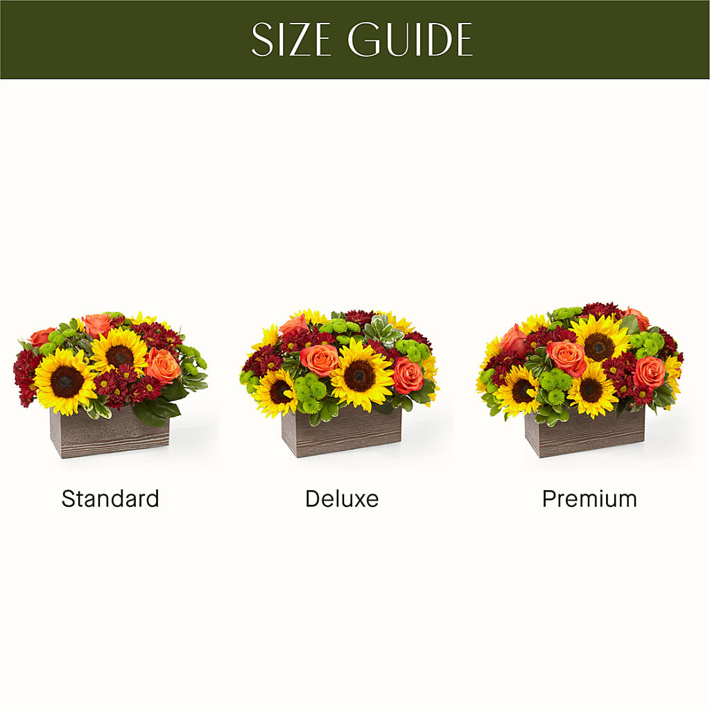 Happy Harvest Garden –  Blossoms In Studio Of Flowers, Forest MS