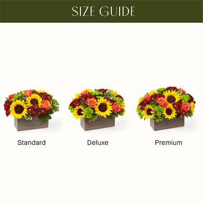 Happy Harvest Garden –  Blossoms In Studio Of Flowers, Forest MS