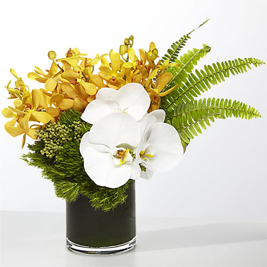 The Tropics –  Blossoms In Studio Of Flowers, Forest MS
