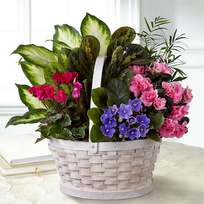 Peaceful Garden Planter –  Blossoms In Studio Of Flowers, Forest MS