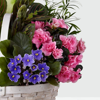 Peaceful Garden Planter –  Blossoms In Studio Of Flowers, Forest MS