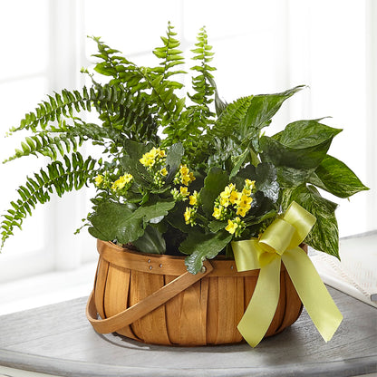 Always Dear Dishgarden –  Blossoms In Studio Of Flowers, Forest MS