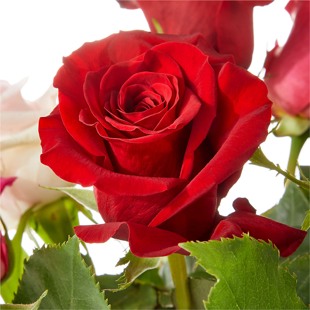 Love Notes Rose Bouquet –  Blossoms In Studio Of Flowers, Forest MS