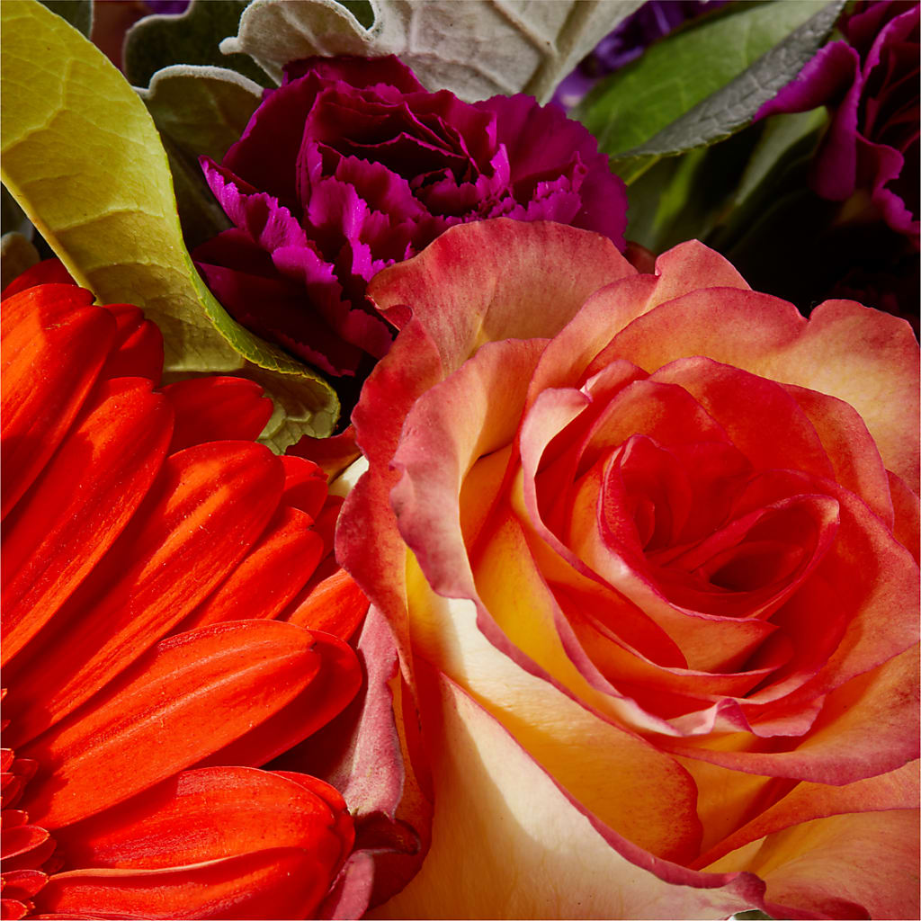 Sangria Bouquet –  Blossoms In Studio Of Flowers, Forest MS