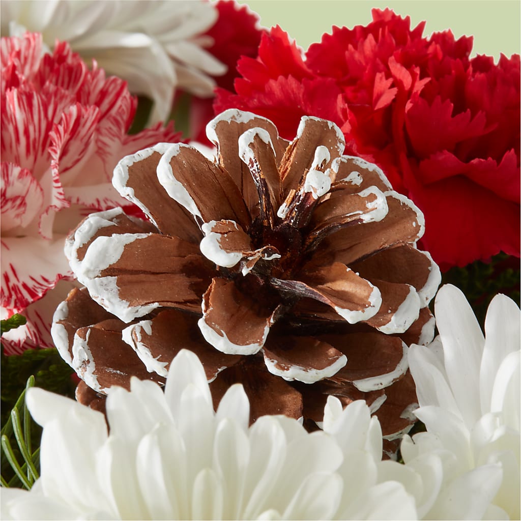 Candy Cane Lane Bouquet –  Blossoms In Studio Of Flowers, Forest MS