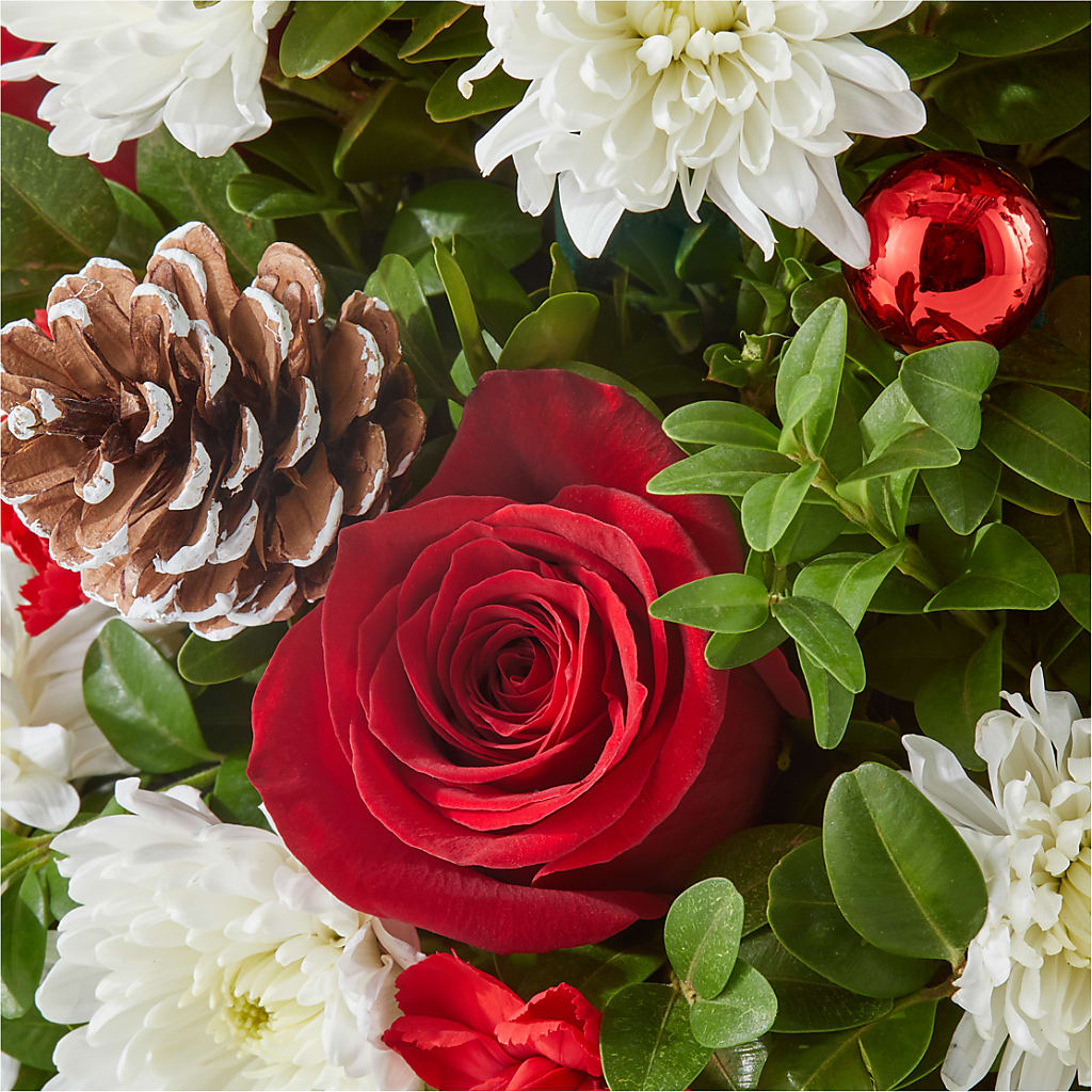 Let It Snow Tree –  Blossoms In Studio Of Flowers, Forest MS