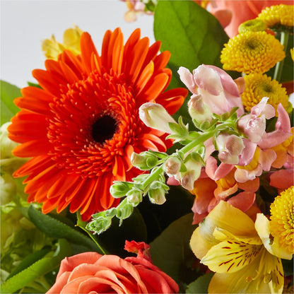 Autumn Sunshine Bouquet –  Blossoms In Studio Of Flowers, Forest MS