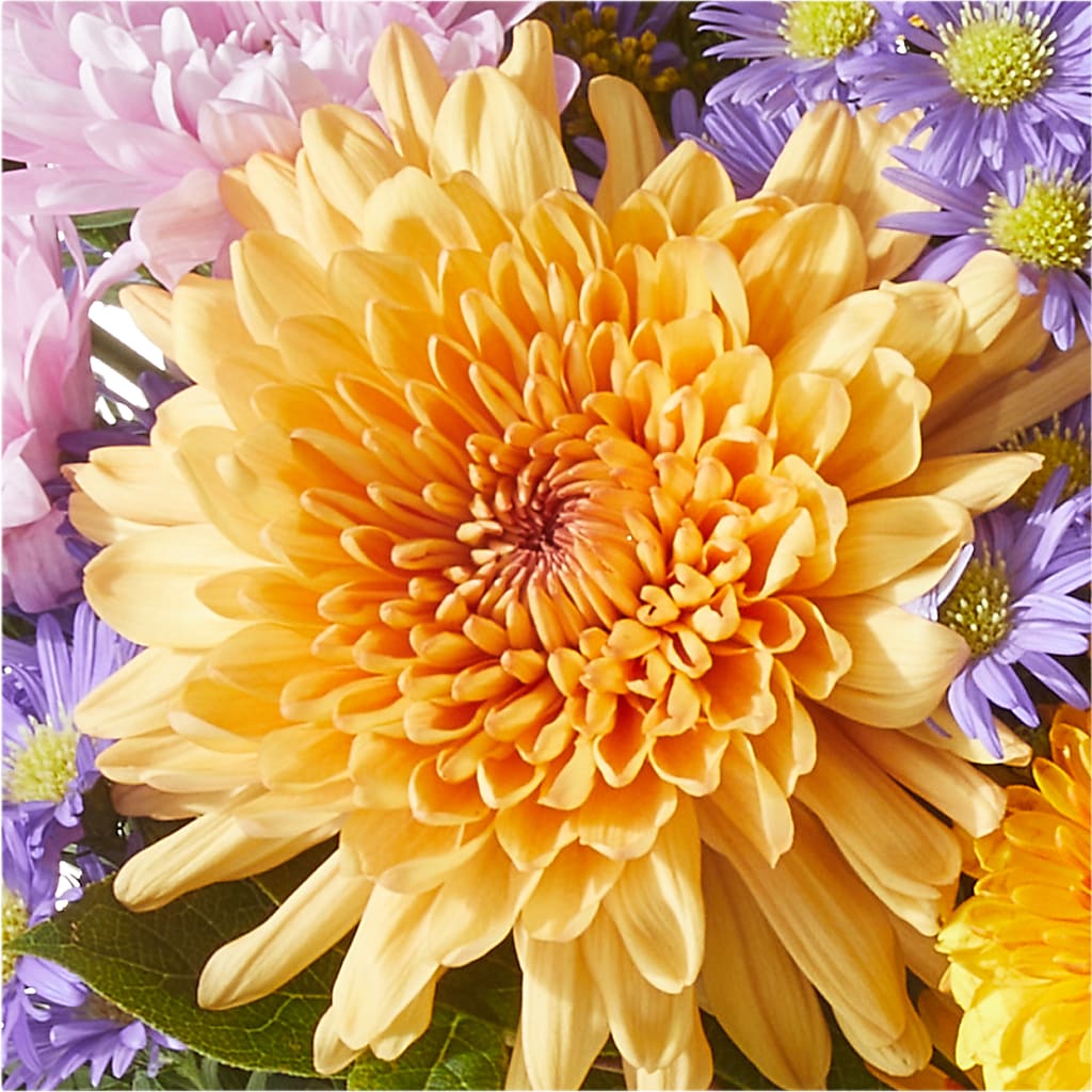 Countryside Bouquet –  Blossoms In Studio Of Flowers, Forest MS