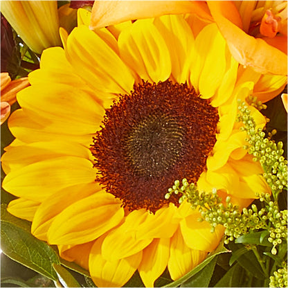 Seasons Change Bouquet –  Blossoms In Studio Of Flowers, Forest MS