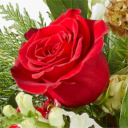Deck the Halls Bouquet –  Blossoms In Studio Of Flowers, Forest MS