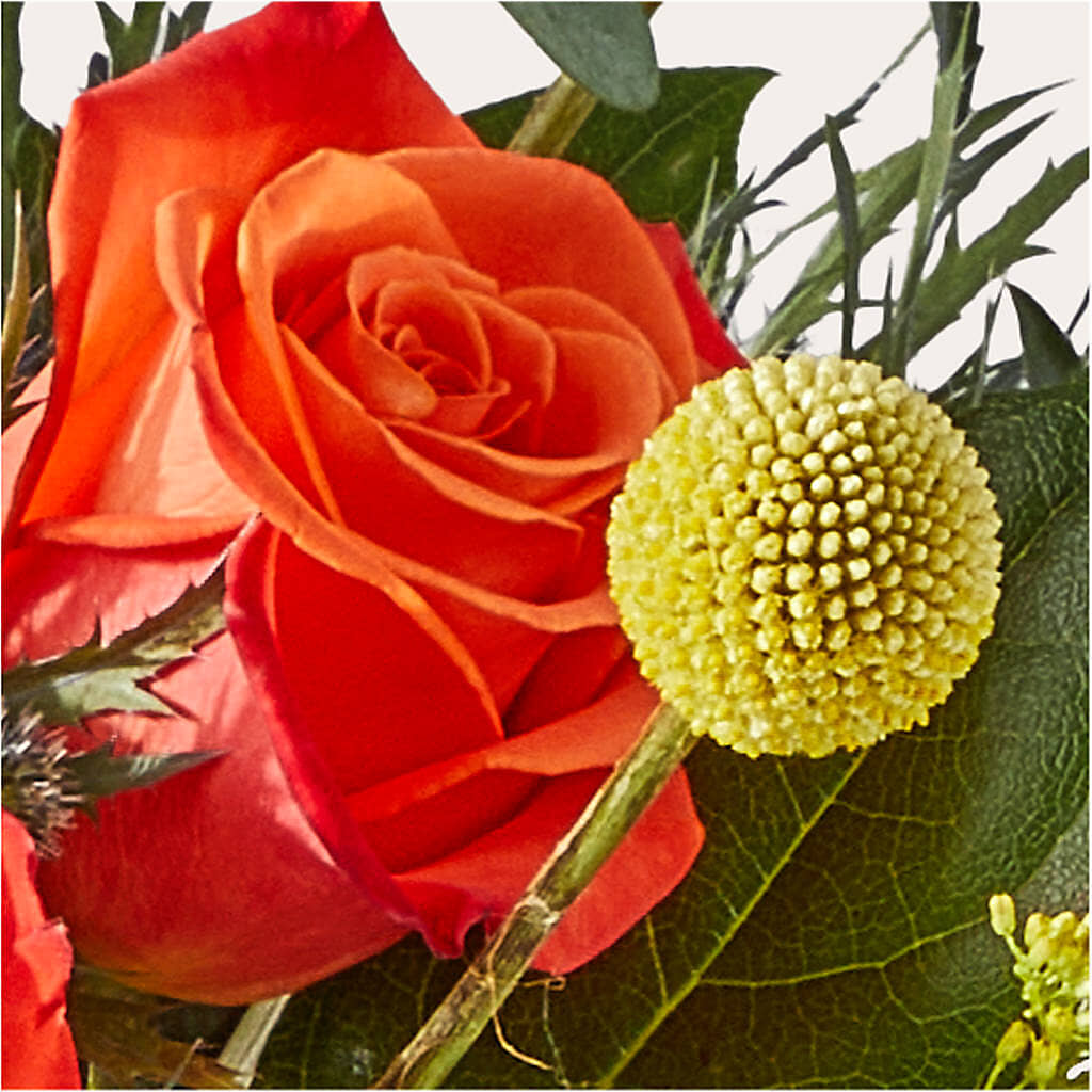 Disco Bouquet –  Blossoms In Studio Of Flowers, Forest MS