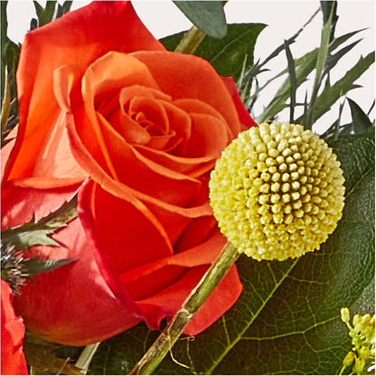 Disco Bouquet –  Blossoms In Studio Of Flowers, Forest MS