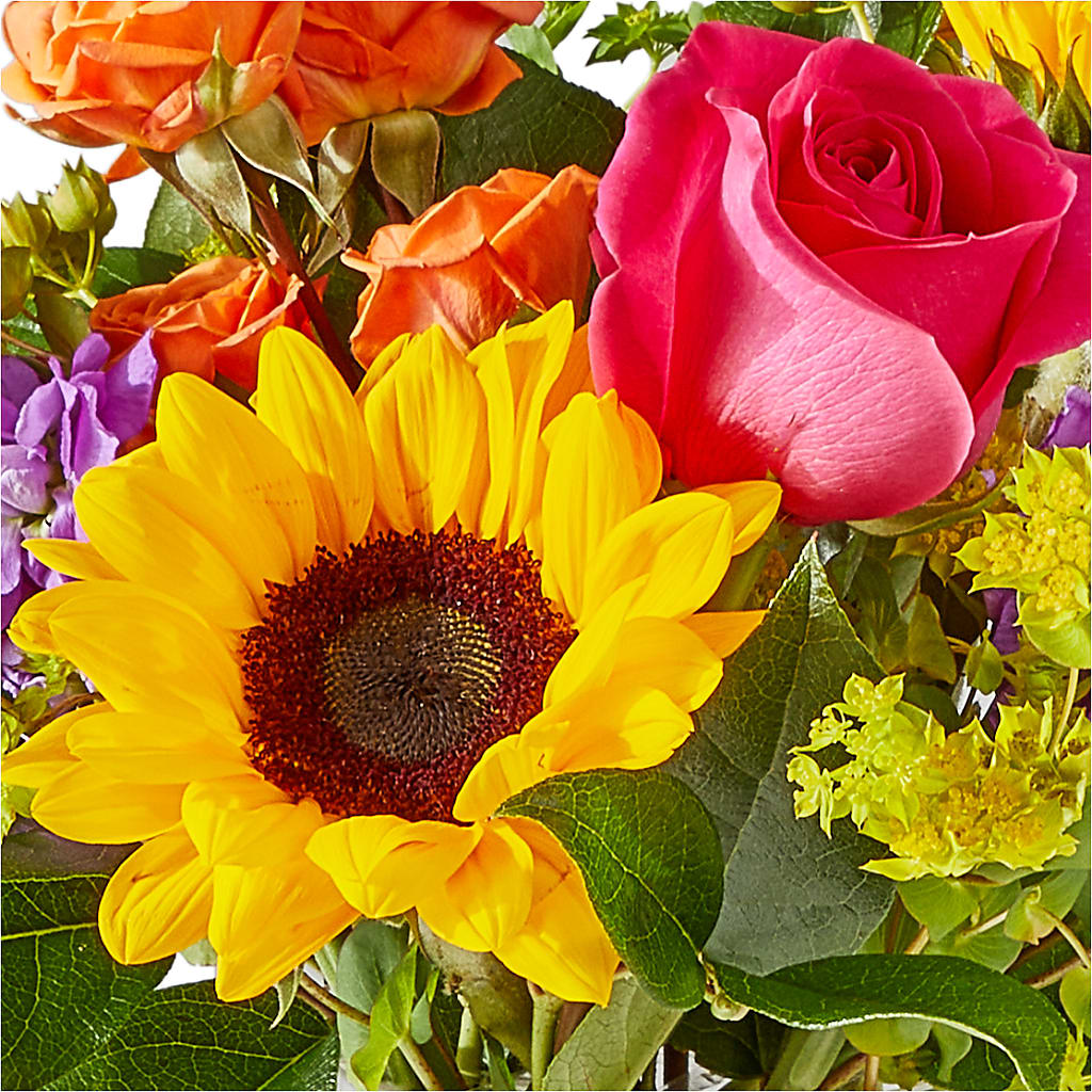 Vibrant Greetings Bouquet –  Blossoms In Studio Of Flowers, Forest MS