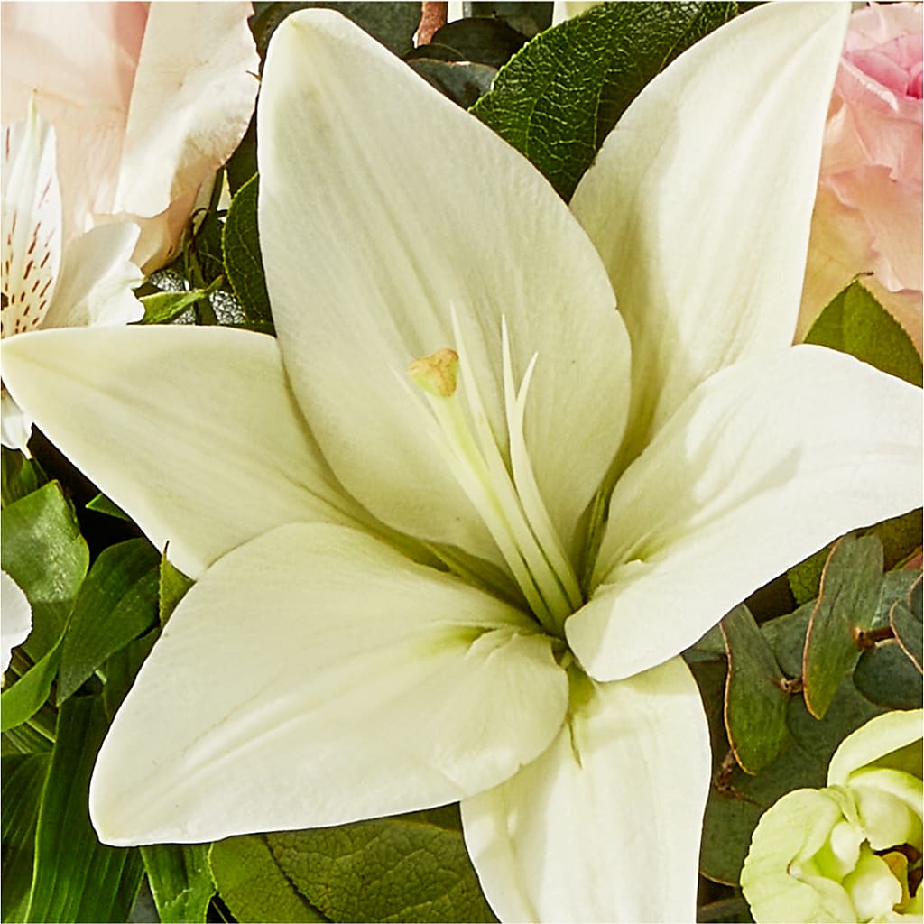Ballet Slippers Bouquet –  Blossoms In Studio Of Flowers, Forest MS