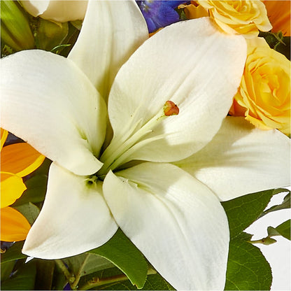 Wonderfully Sunny Bouquet –  Blossoms In Studio Of Flowers, Forest MS