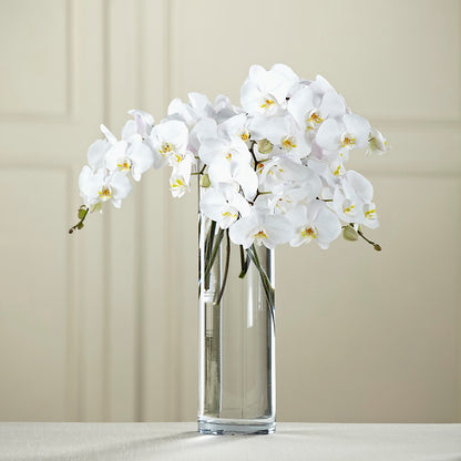 White Phalaenopsis Bouquet –  Blossoms In Studio Of Flowers, Forest MS