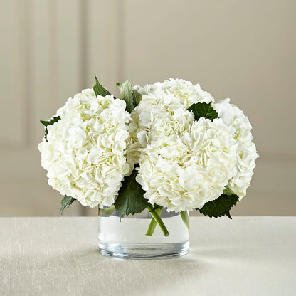 White Hydrangea Bouquet –  Blossoms In Studio Of Flowers, Forest MS